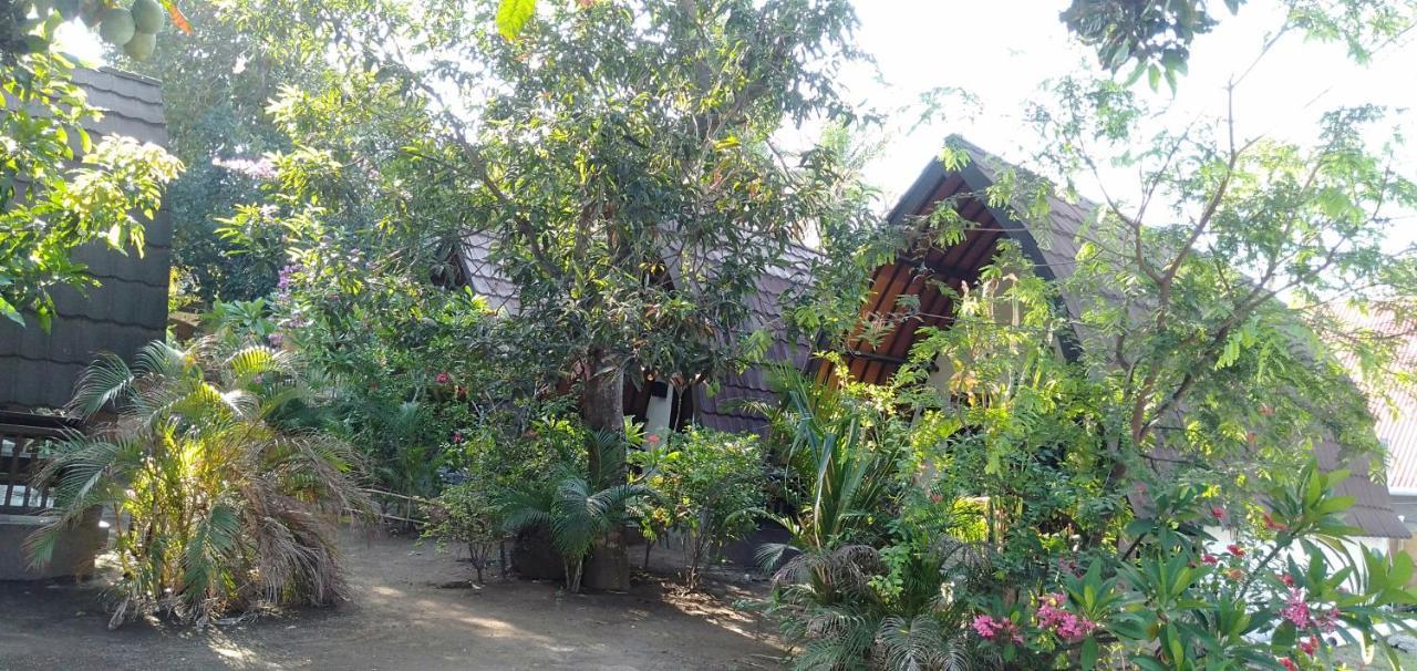 Hello Lumbung Homestay 길리 아이르 외부 사진